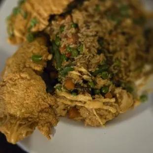 Fried Rice and Catfish