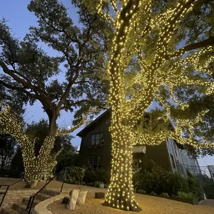 Outside Prelude at night