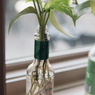 Decor that really appealed to this green thumb.