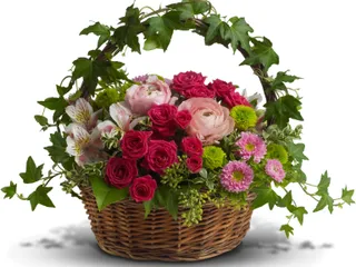 Love Unlimited Florist