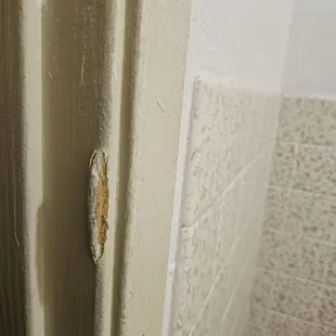 Bathroom door also