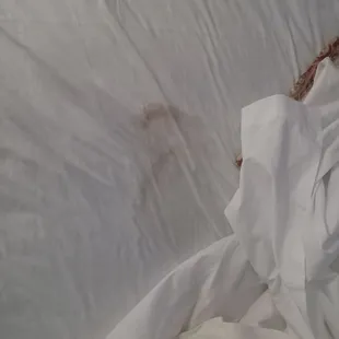 AND YES IT PENETRATED DOWN INTO THE MATRESS!! BET BY NOW IT SMELLS AMAZING!!