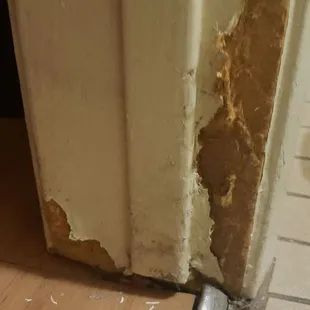 Kinda scratched or something.