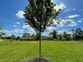 TreeRific Landscaping