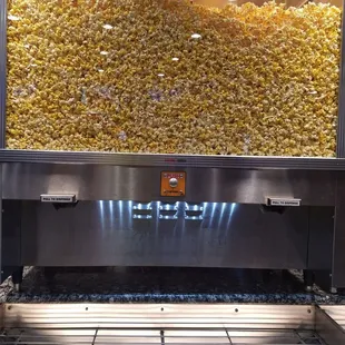 There's like 6 of these!