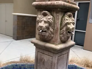 Dry Creek Medical Group