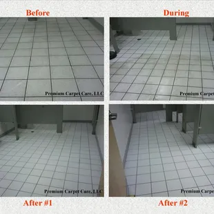 Premium Carpet Care