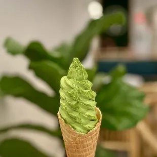 Matcha softserve