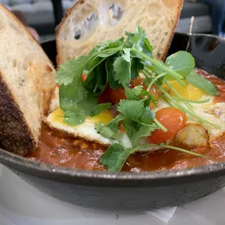 Harissa Shakshuka