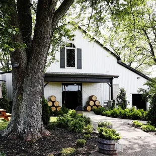 a white building with a large oak tree in front of it