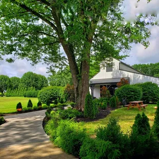 Gorgeous country landscape for location of the distillery