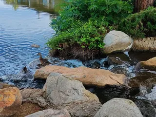 Arapahoe Lake Park