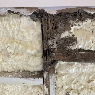 Rotten studs on the inside of the house, flaking off