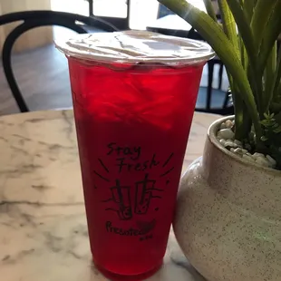 Blueberry Fruit Tea