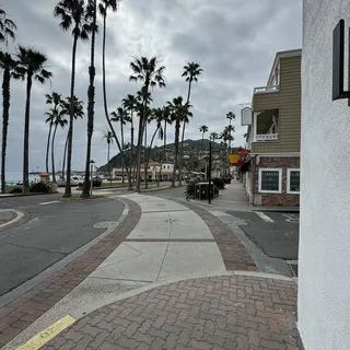 Jax V.