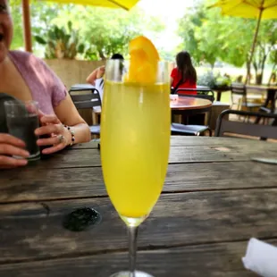 Mimosa