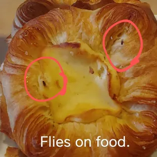 Flies on pastry.