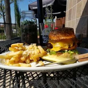 Burger and garlic fries (lunch special) freakin amazing