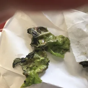 Bad lettuce in my salad