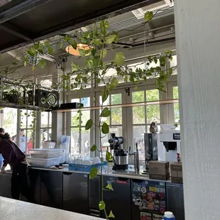 a man working in a coffee shop