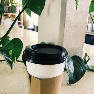 Guatemalan Coffee at the coffee bar