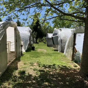 Tucked away greenhouses