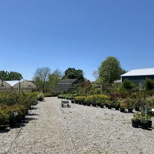 Outdoor scrubs section