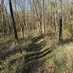 Find the path! It's there if you look for it!