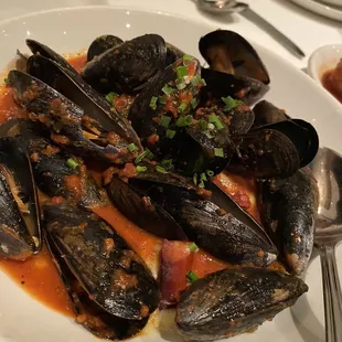 Mussels appetizer