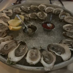 $1 oyster