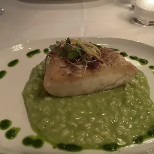 Halibut