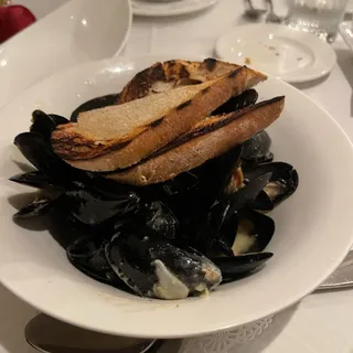 Cozze