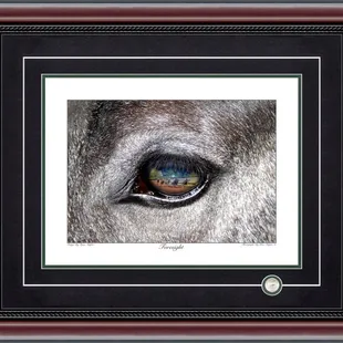 Horizontal Photographs By Price Maples Sr. Framed And Sold At Price Maples Sr. Art &amp; Framing