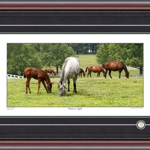 Panoramic Photographs By Price Maples Sr. Framed And Sold At Price Maples Sr. Art &amp; Framing