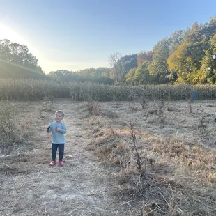 On the way to the corn maze