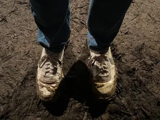 The Mid-South Maze Cornfield
