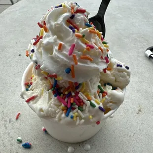 Vanilla double scoop