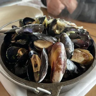 Mussels