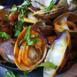 2017.07.03. Penn Cove Clams and Chorizo $14.50 @ Prima Bistro