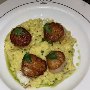 Dayboat Scallops