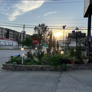 Owner picking herbs for dinner