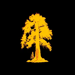 Sequoia R.