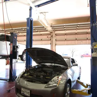 Rat damage on a 350Z