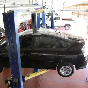 They work on prius too.