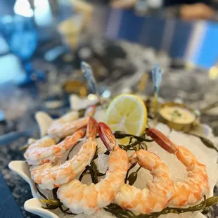 oysters and mussels, food