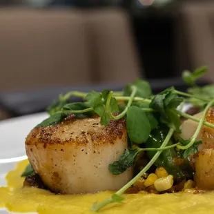 a scallop dish on a white plate