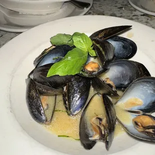 Mussels