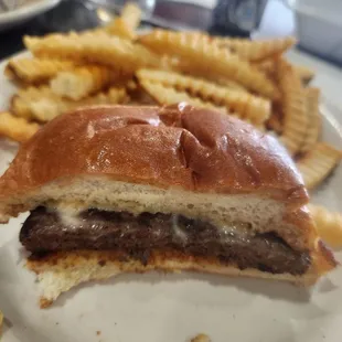 Plain cheese Classic Burger