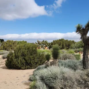 One of many beautiful spots.