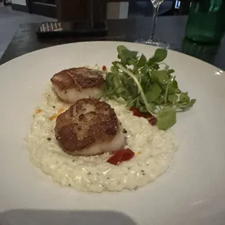 Pan Seared Scallops
